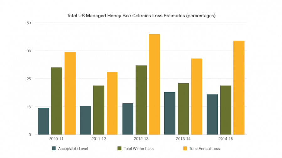 Information from http://beeinformed.org/2015/05/colony-loss-2014-2015-preliminary-results/