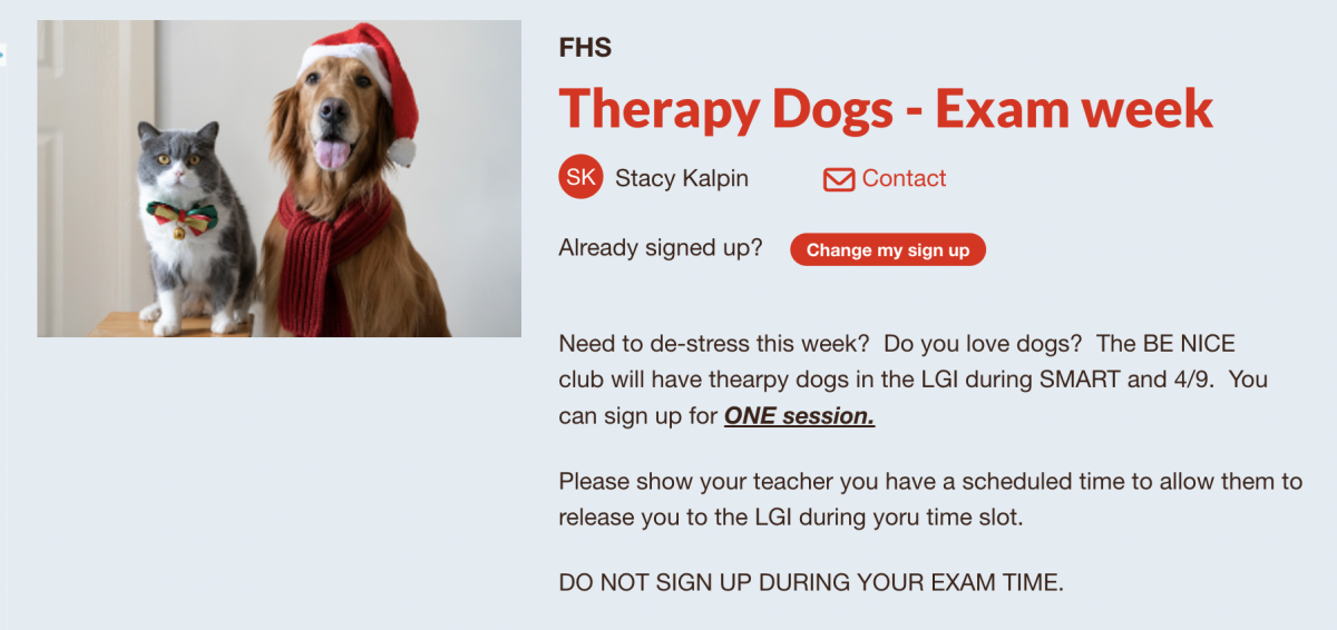 Therapy+Dogs