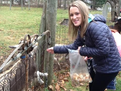Going Green? How about Going Goat?