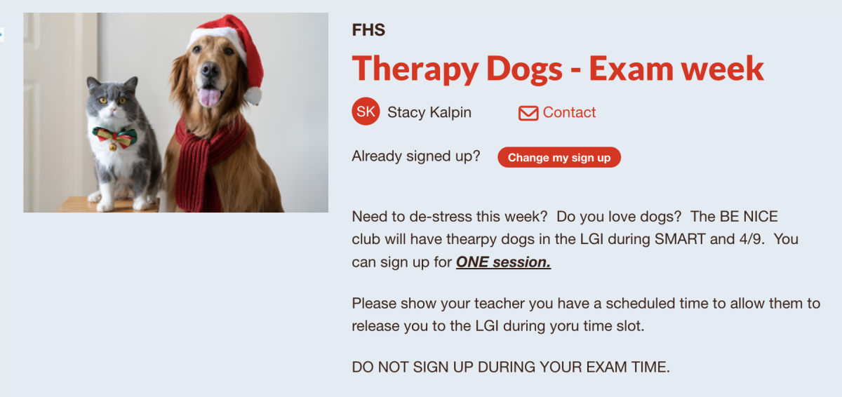 Therapy Dogs