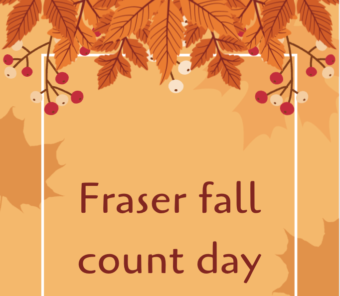 Fraser Fall Count Day