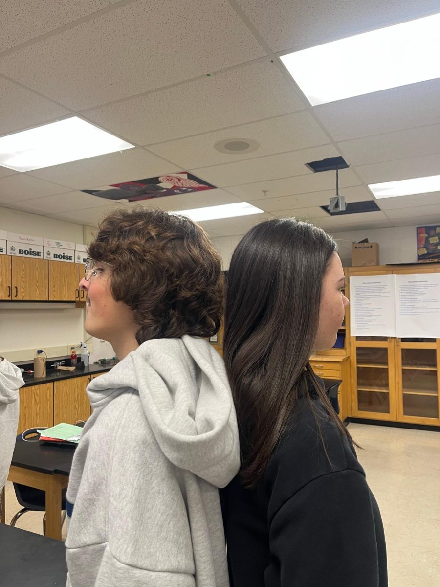 Exploring Gender Divide in School